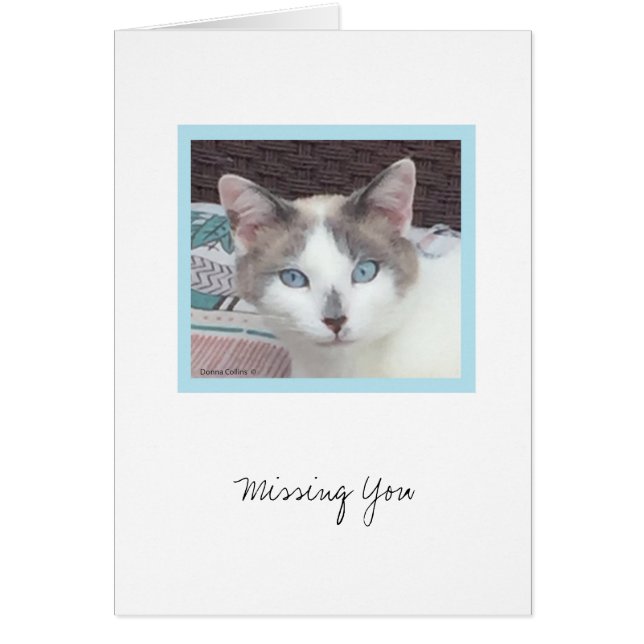 Kit Kit Collection #3 Note Card (Devant)