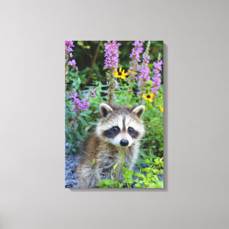 Kit Raccoon parmi l'impression de toile de fleurs.