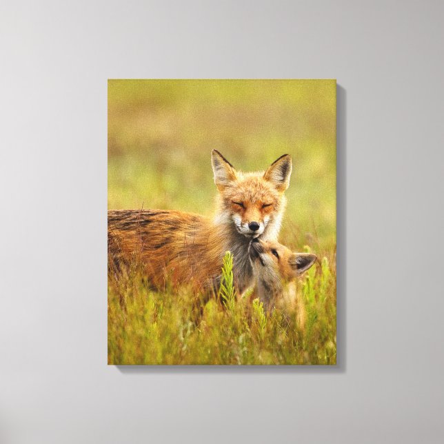 Kit Renard Rouge Recherche de Momma Vixen toile Im (Recto)