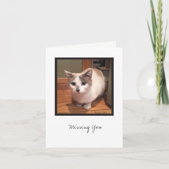 Kit-Sammlung #1 Karte (Vorderseite)