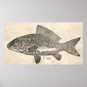 Kitchen Decke Wand Vintager Karpfen Koi Fisch Poster