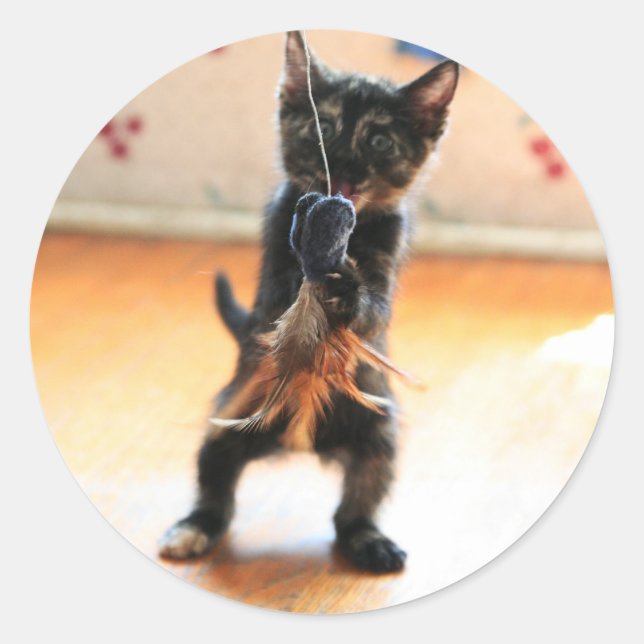 Kitchenfangeln Runder Aufkleber (Vorderseite)