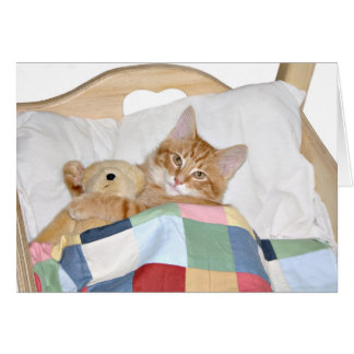 Kiteschlafen mit Teddybär