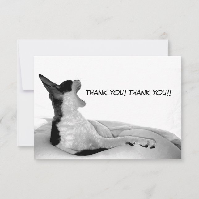 Kitsa Diva: Königin ihres Domans Dankeskarte (Vorderseite)