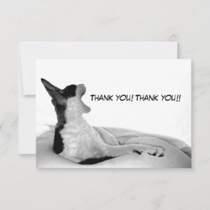 Kitsa Diva: Königin ihres Domans Dankeskarte