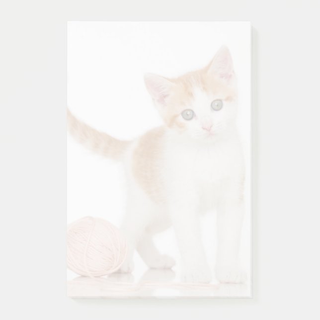 Kitte neben dem Ball Post-it Klebezettel (Vorderseite)