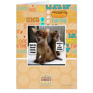 Kitteh carols