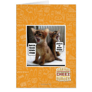 Kitteh carols