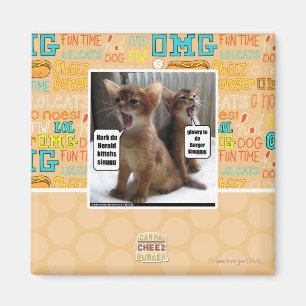 Kitteh Liede Magnet