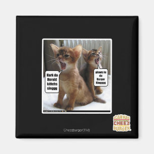 Kitteh Liede Magnet