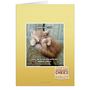 Kitteh-Regel #231
