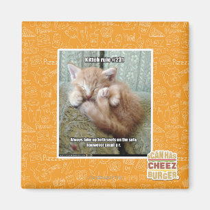 Kitteh Regel #231 Magnet