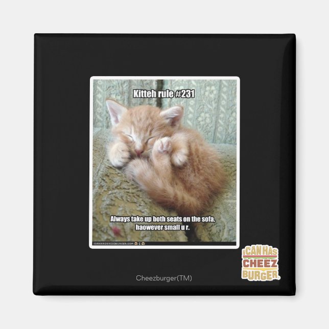 Kitteh-Regel #231 Magnet (Vorne)