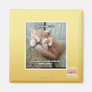 Kitteh Regel #231 Magnet