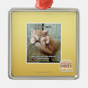 Kitteh Regel #231 Ornament Aus Metall