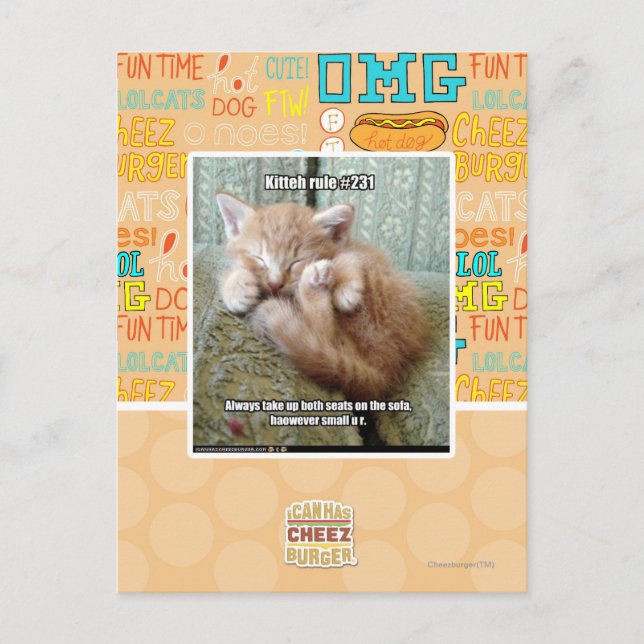 Kitteh-Regel #231 Postkarte (Vorderseite)