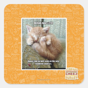 Kitteh-Regel #231 Quadratischer Aufkleber