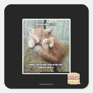 Kitteh-Regel #231 Quadratischer Aufkleber