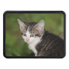 Kitten Abschlepphaken Cover