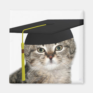 Kitten Abschluss Magnet