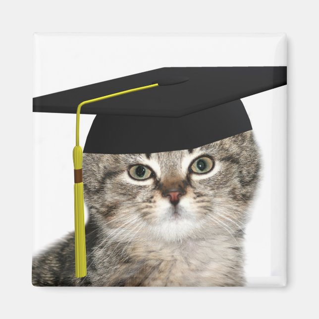 Kitten Abschluss Magnet (Vorne)