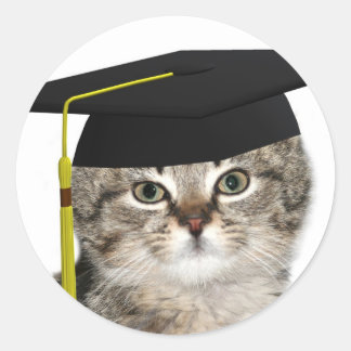 Kitten-Absolventen Runder Aufkleber