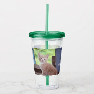 Kitten Acryltrinkbecher