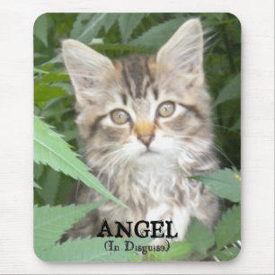 KITTEN = ANGEL (in verschleierter Form) Mousepad