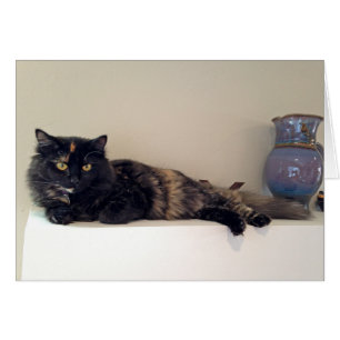 Kitten auf dem Mantel - Katzen - Haustiere - Karte