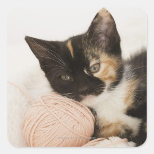 Kitten auf Streichkugel Quadratischer Aufkleber