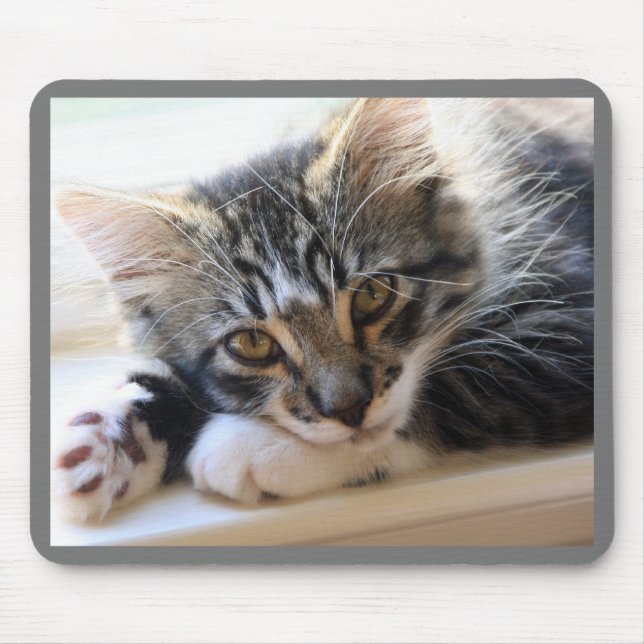 Kitten auf Windows-Maus-Pad Mousepad (Vorne)