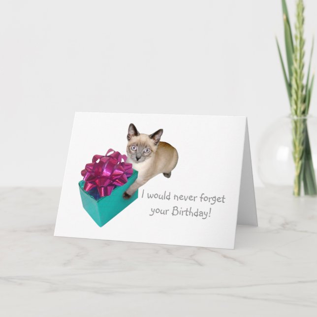 Kitten avec carte d'anniversaire actuelle (Devant)