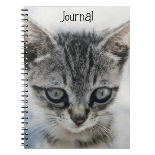 Kitten Baby Cat Art Journal Carnet