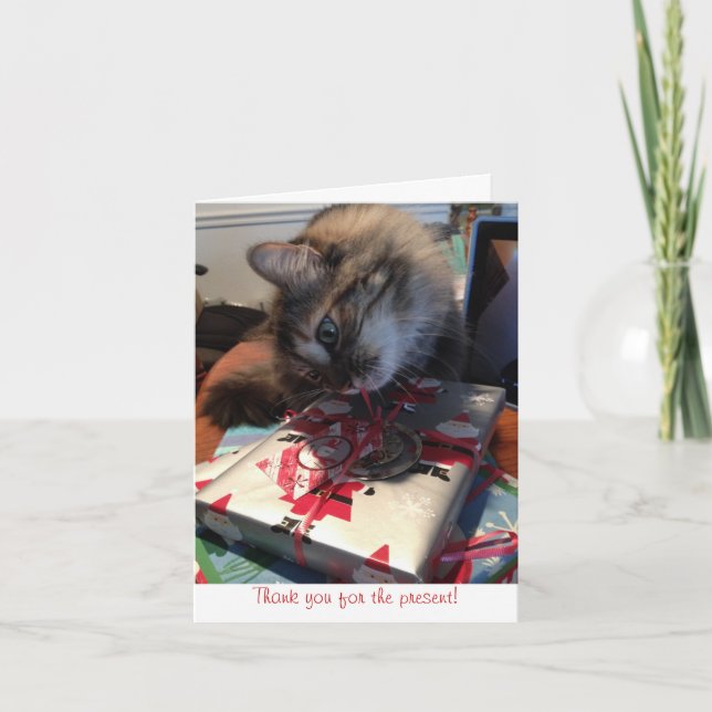 Kitten bedanken Sie sich Dankeskarte (Vorderseite)