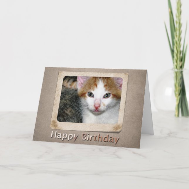 Kitten Birthday Card Karte (Vorderseite)
