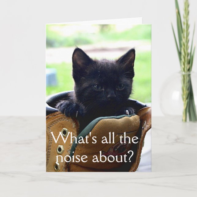 Kitten Birthday Card Karte (Vorderseite)