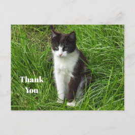 Kitten Black and White Cat Foto Vielen Dank Postkarte