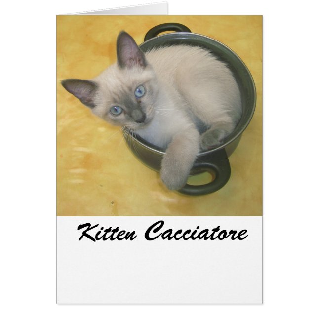 Kitten Cacciatore (Vorne)