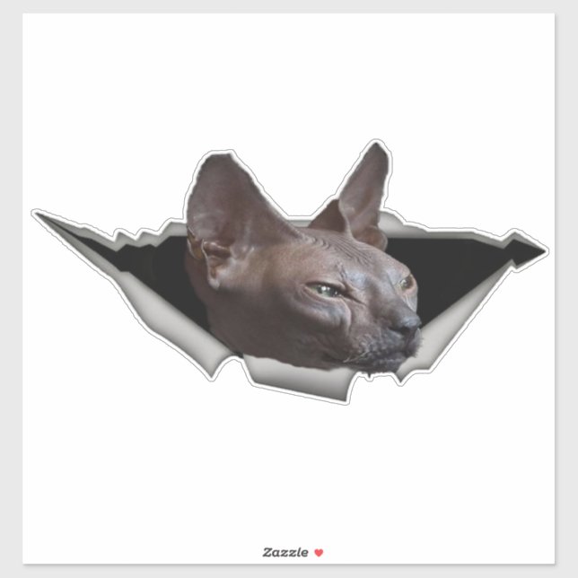 Kitten Canadian Sphynx Autocollant voiture Sphynx (Feuille)