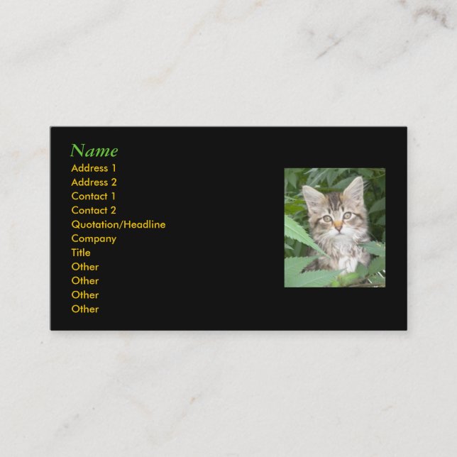 Kitten Carte de visite (Devant)