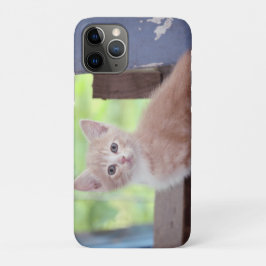 Kitten Case-Mate iPhone Hülle