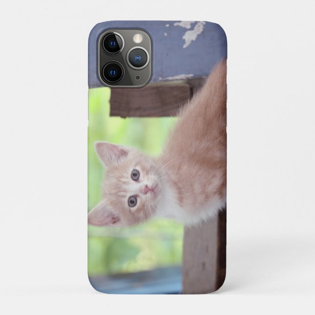 Kitten Case-Mate iPhone Hülle (Rückseite)