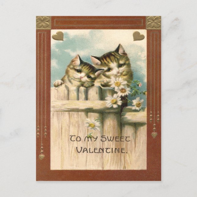 Kitten Cat Daisy Daisies Fence Postkarte (Vorderseite)