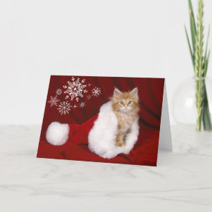Kitten Christmas Card Feiertagskarte