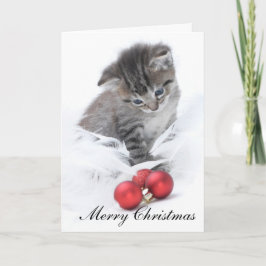 Kitten Christmas Card Feiertagskarte