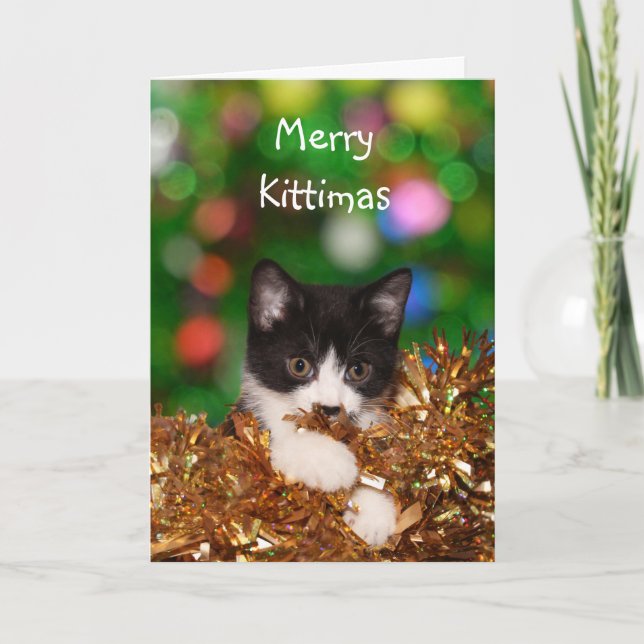 Kitten Christmas Feiertagskarte (Vorderseite)