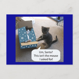 Kitten Christmas Surprise Carte postale