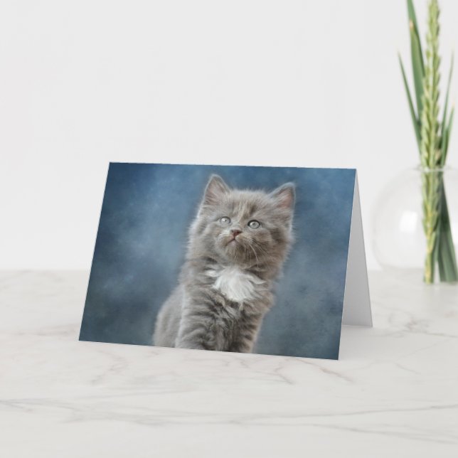 Kitten Dankeskarte (Vorderseite)