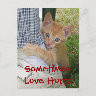 Kitten Dax Love Hurle Carte Postale
