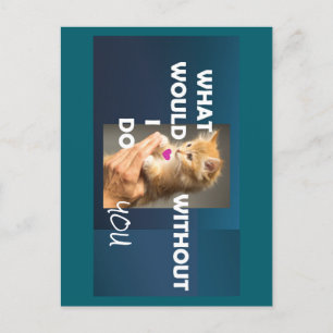 Kitten, der von einem Handtext gehalten wird, was  Postkarte